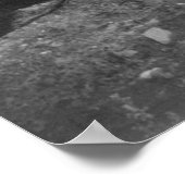 Teddy Goes Beer Hunting, 1905 Poster (Hoek)