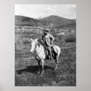Teddy Goes Beer Hunting, 1905 Poster