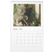 Teddy Henry's Tales Kalender (Feb 2027)