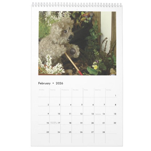 Teddy Henry's Tales Kalender (Feb 2026)