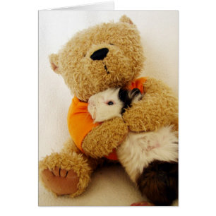 Teddy Hugs A Guinee Pig
