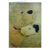 Teddy Hugs A Guinee Pig (Voorkant)