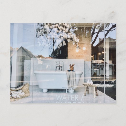 Teddy in Bath Briefkaart (Voorkant)