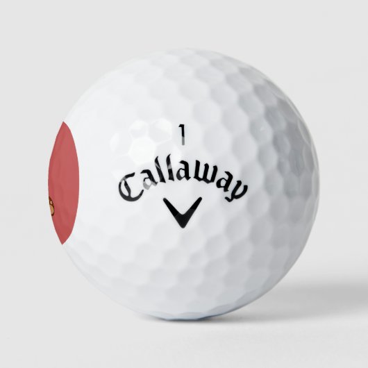 Teddy Love Golfballen (Logo)