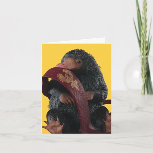 Teddy met Stropdas grafische kaart (Voorkant)