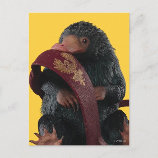 Teddy met Stropdas grafische kaart (Voorkant)