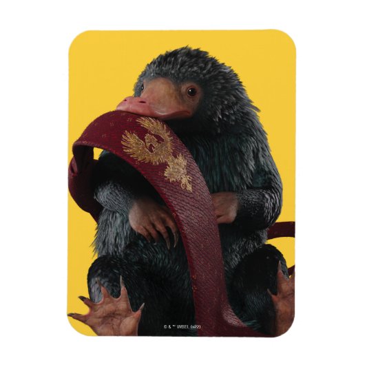 Teddy met Stropdas grafische kaart Magneet (Verticaal)