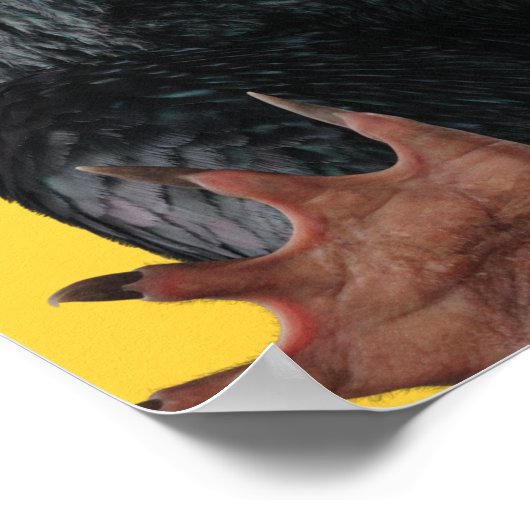 Teddy met Stropdas grafische kaart Poster (Hoek)