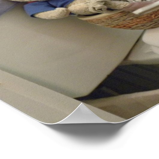 Teddy on Potty Poster (Hoek)