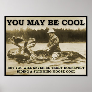 Teddy op een Eland Grappige Poster