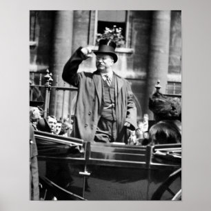 Teddy Roosevelt gooide zijn Pet naar een kruid Poster