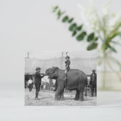 Teddy Roosevelt in de Circus: 1924 Briefkaart (Staand voorkant)