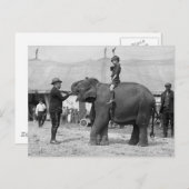 Teddy Roosevelt in de Circus: 1924 Briefkaart (Voorkant / Achterkant)