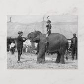 Teddy Roosevelt in de Circus: 1924 Briefkaart (Voorkant)