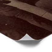 Teddy Roosevelt Inaugural Address, 1905 Poster (Hoek)