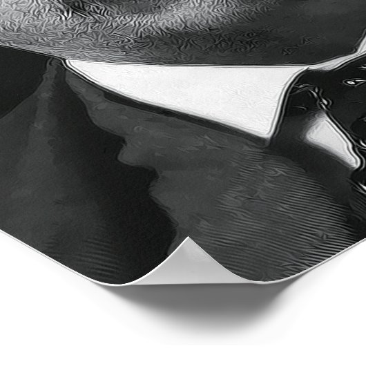 TEDDY ROOSEVELT - MAN in de ARENA - 1910 Poster (Hoek)