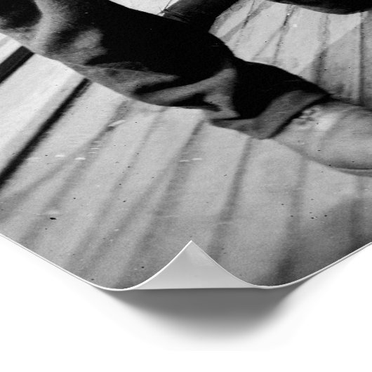 Teddy Roosevelt met Crew, begin jaren '00 Poster (Hoek)