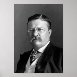 Teddy Roosevelt Portrait - 1904 Poster