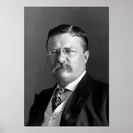 Teddy Roosevelt Portrait - 1904 Poster (Voorkant)