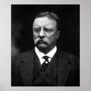 Teddy Roosevelt Poster