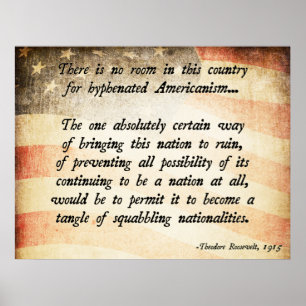 Teddy Roosevelt Quote Poster