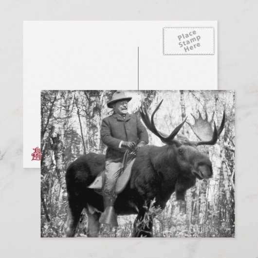 Teddy Roosevelt Riding A Bull Moose Briefkaart (Voorkant / Achterkant)