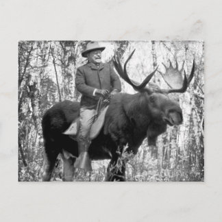 Teddy Roosevelt Riding A Bull Moose Briefkaart