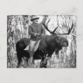 Teddy Roosevelt Riding A Bull Moose Briefkaart (Voorkant)