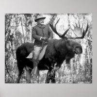 teddy roosevelt bull moose