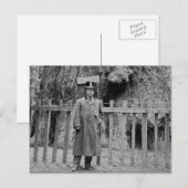 Teddy Roosevelt van de Big Tree Grove Santa Cruz Briefkaart (Voorkant / Achterkant)