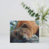 Teddy the Grizz Briefkaart (Staand voorkant)