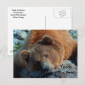 Teddy the Grizz Briefkaart (Voorkant / Achterkant)