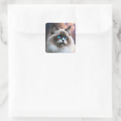 Teddy the Ragdoll Cat Sticker (Tas)