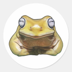 Teddy verlegen jongen sticker Sticker