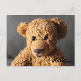 Teddy zegt hallo briefkaart