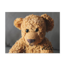 Teddy zegt hallo