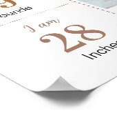 Teddybeer ballon Beary eerste jaar mijlpaal Poster (Hoek)