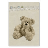 Teddybeer brengt boek in plaats van Kaart (Achterkant)