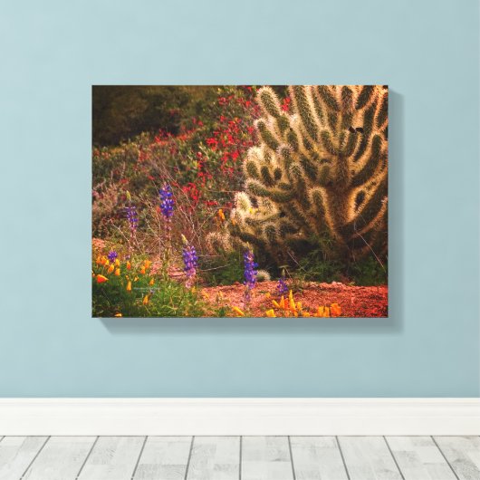 Teddybeer Cholla Cactus Wildflower Desert Scène Canvas Afdruk (Insitu (Houten vloer))