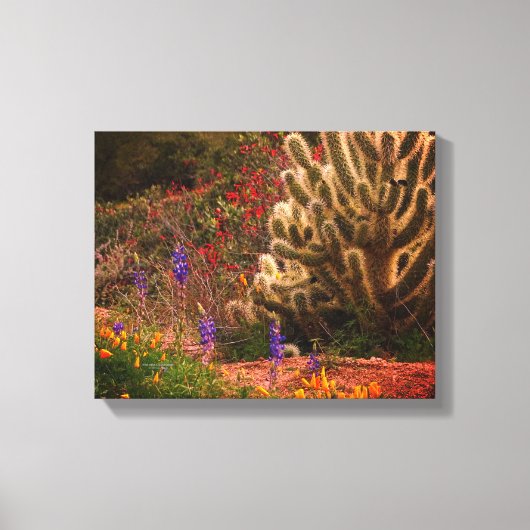Teddybeer Cholla Cactus Wildflower Desert Scène Canvas Afdruk (Voorkant)