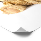 teddybeer en  oude koffer met wereldsti poster (Hoek)