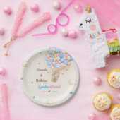 Teddybeer Geslacht Onthullen Roze Blauw Papieren Bordje (Feest)