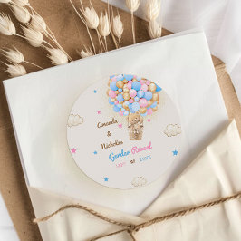 Teddybeer Geslacht Onthullen Roze Blauw Ronde Sticker