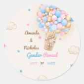 Teddybeer Geslacht Onthullen Roze Blauw Ronde Sticker (Voorkant)