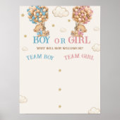 Teddybeer Geslacht Onthulling Stemming Spel Bord Poster (Voorkant)