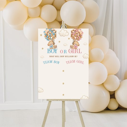 Teddybeer Geslacht Onthulling Stemming Spel Bord Poster