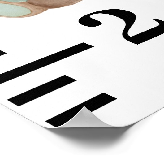 Teddybeer groene ballonnen poster (Hoek)