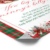 Teddybeer Hoe groot is de buik van mama Poster (Hoek)