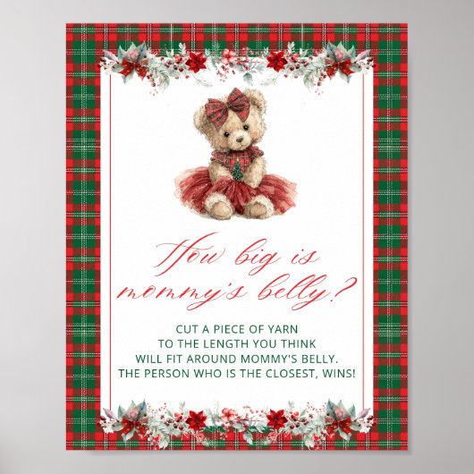 Teddybeer Hoe groot is de buik van mama Poster (Voorkant)