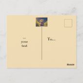 Teddybeer in een weide, elke gelegenheid briefkaart (Achterkant)